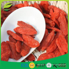 2016 new dried goji berry price